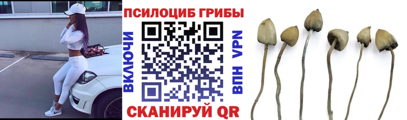 Псилоцибиновые грибы Magic Shrooms  Красный Холм 